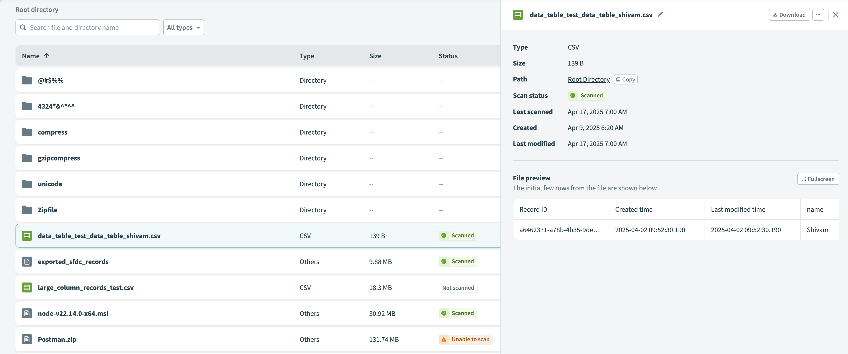 Previewing a file in the FileStorage UI