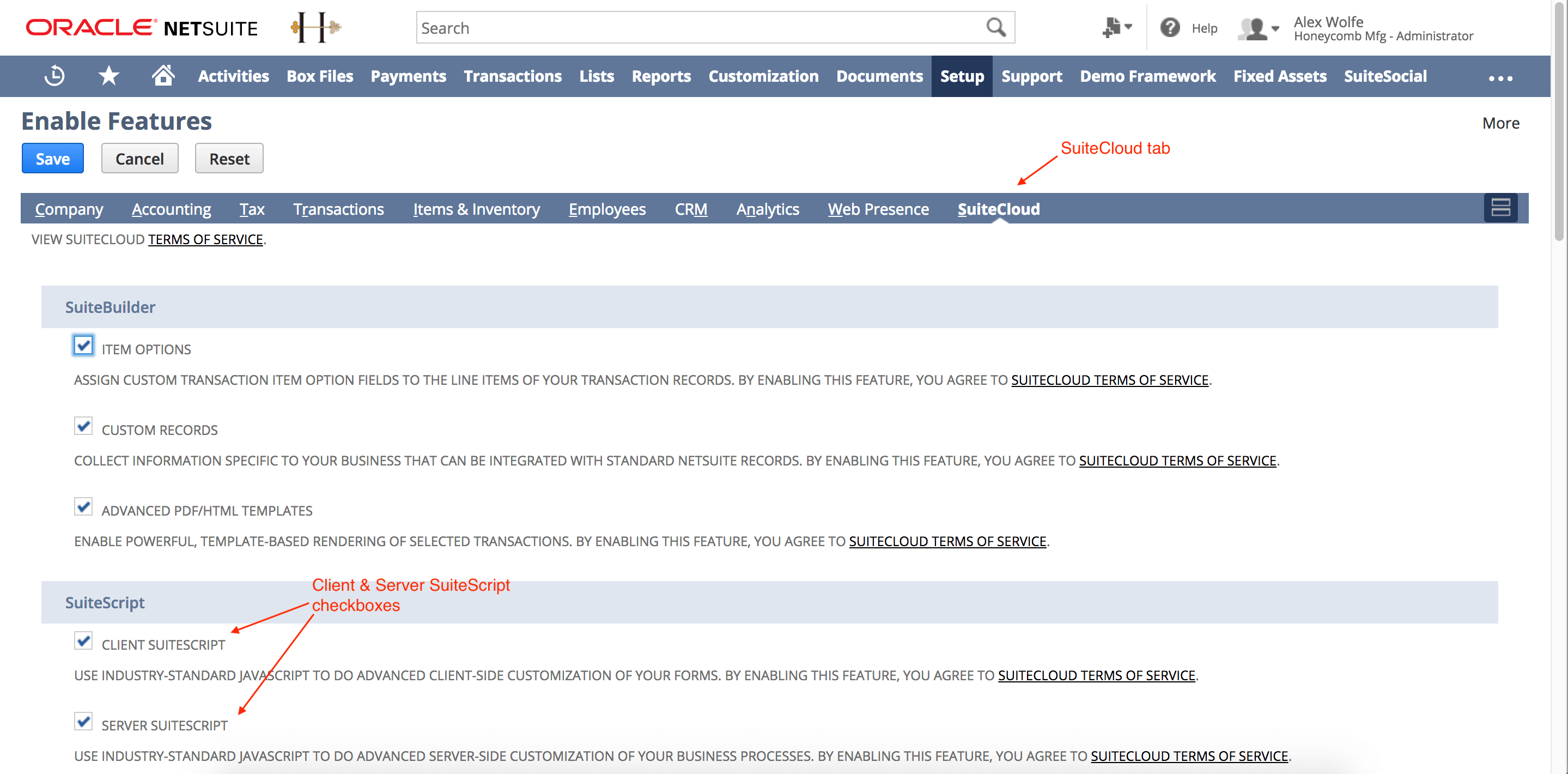 [Client SuiteScript] と [Server SuitScript] チェックボックスにチェックを入れる
