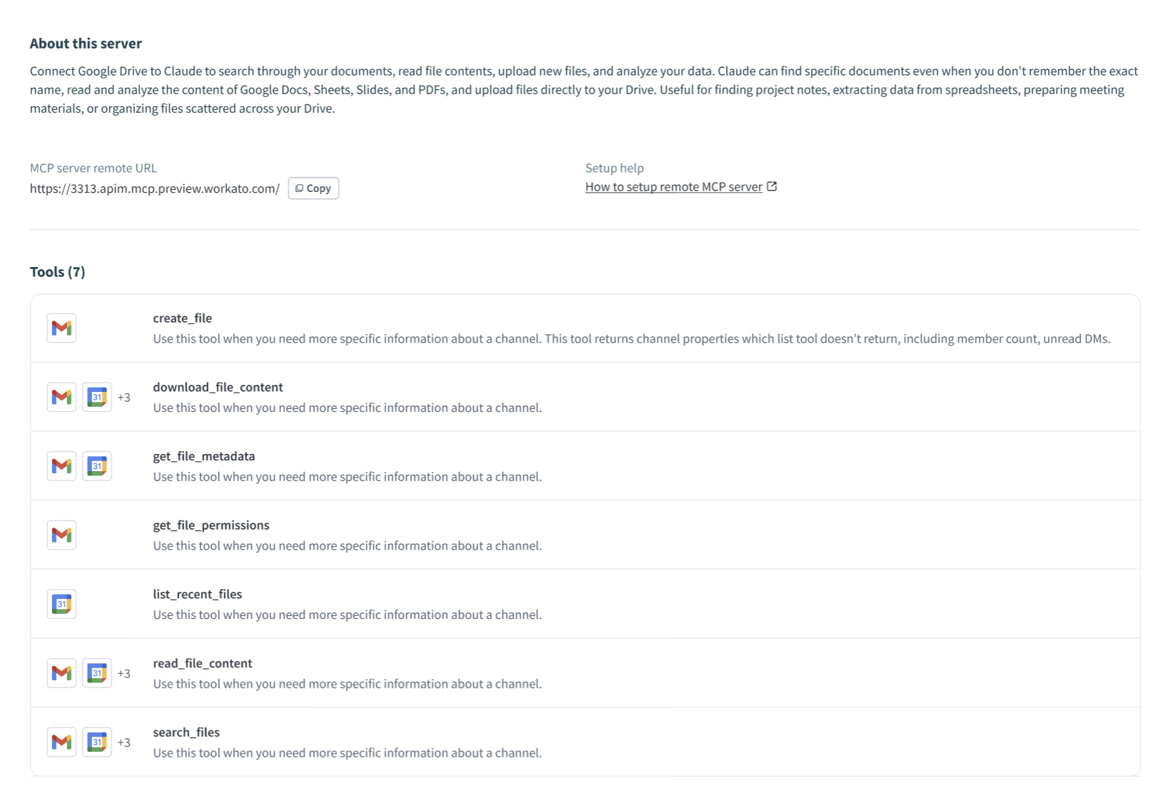Review the MCP server information and tool list
